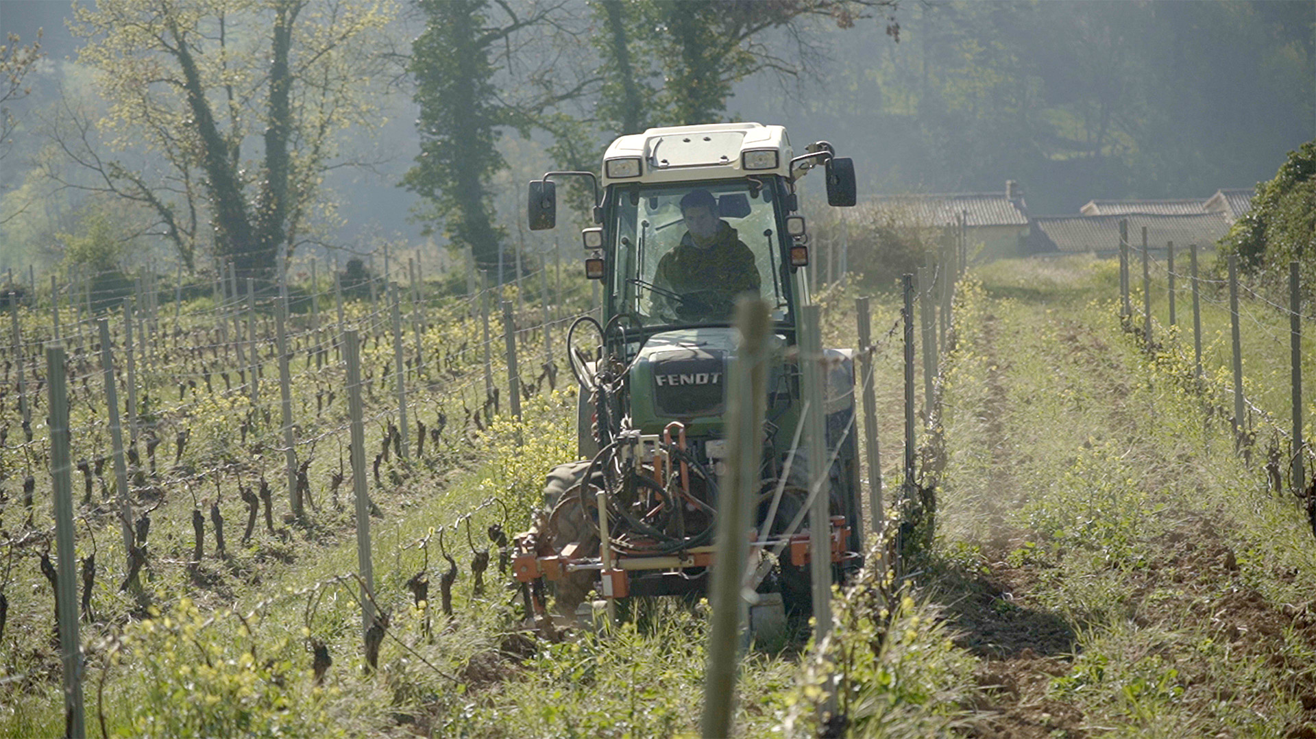 La transition (agricole)  Phytovictimes